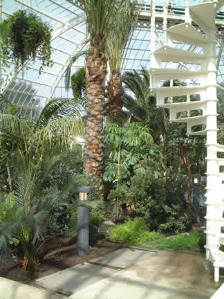 Palm House