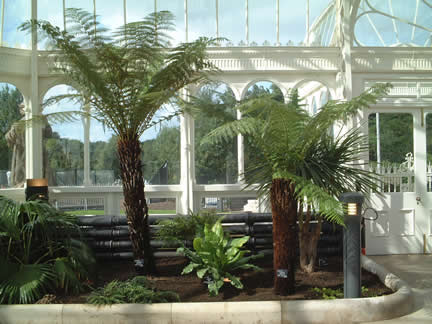 Palm House