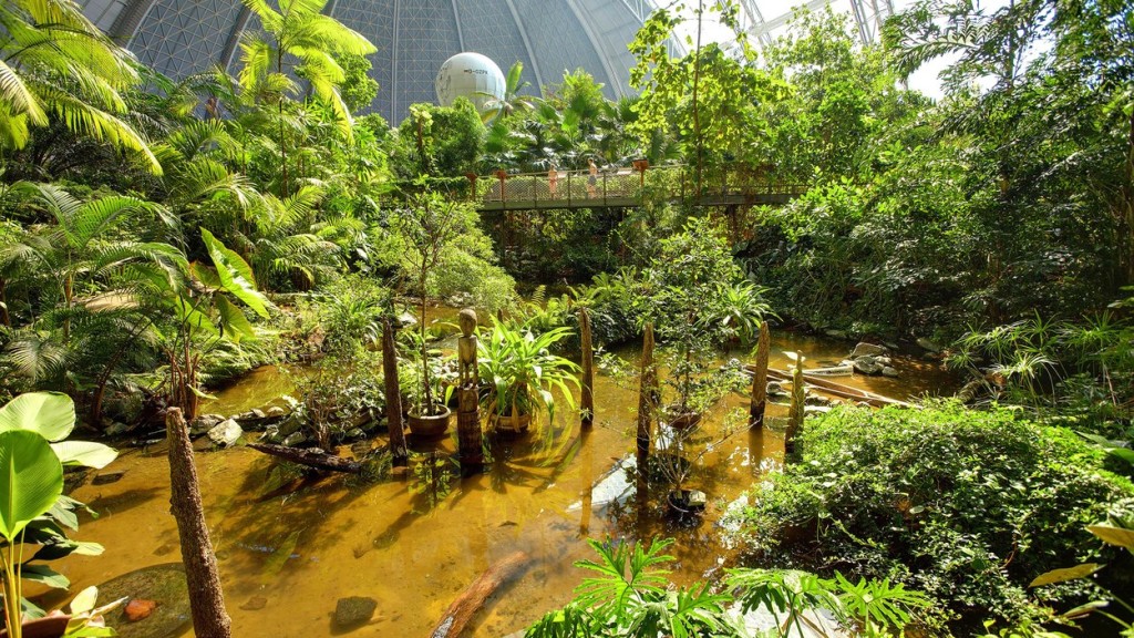 tropical-islands-resort-mangroove